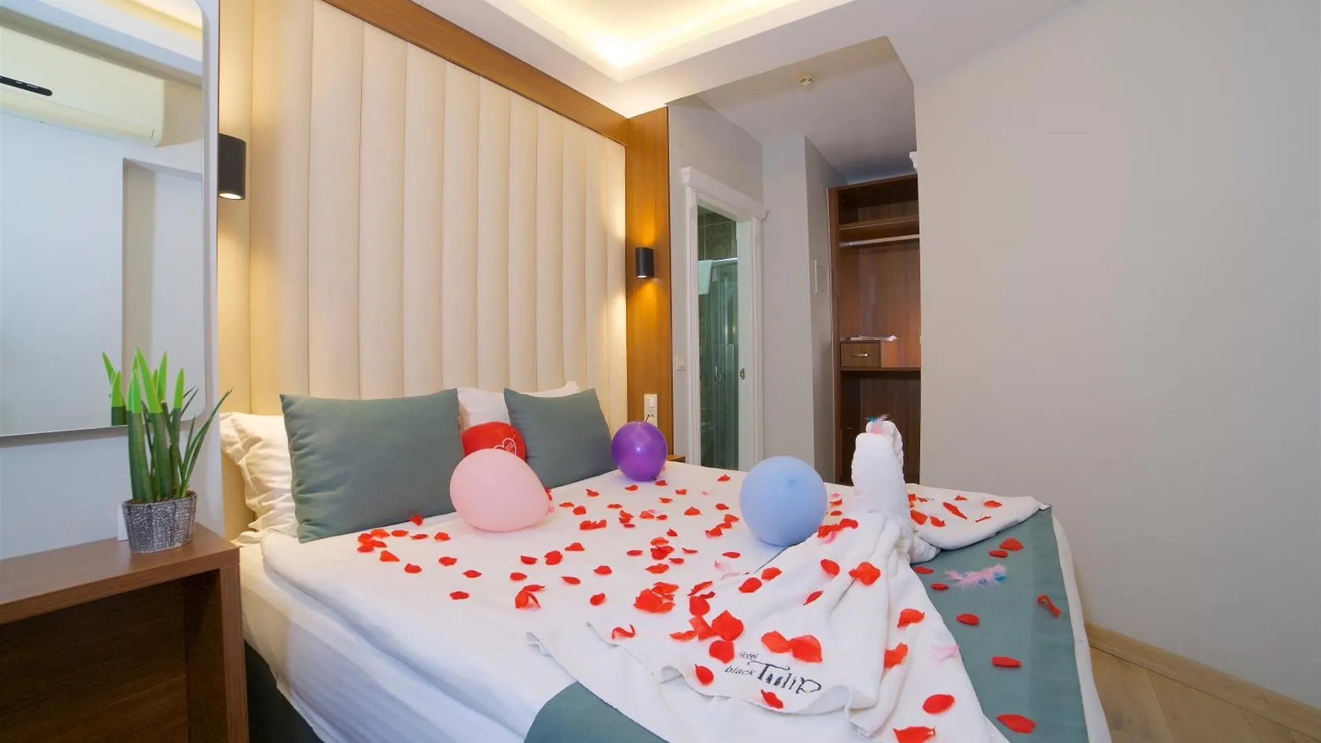 Hotel Black Tulip Istanbul